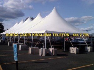 Bursa kiralık Kamelya
